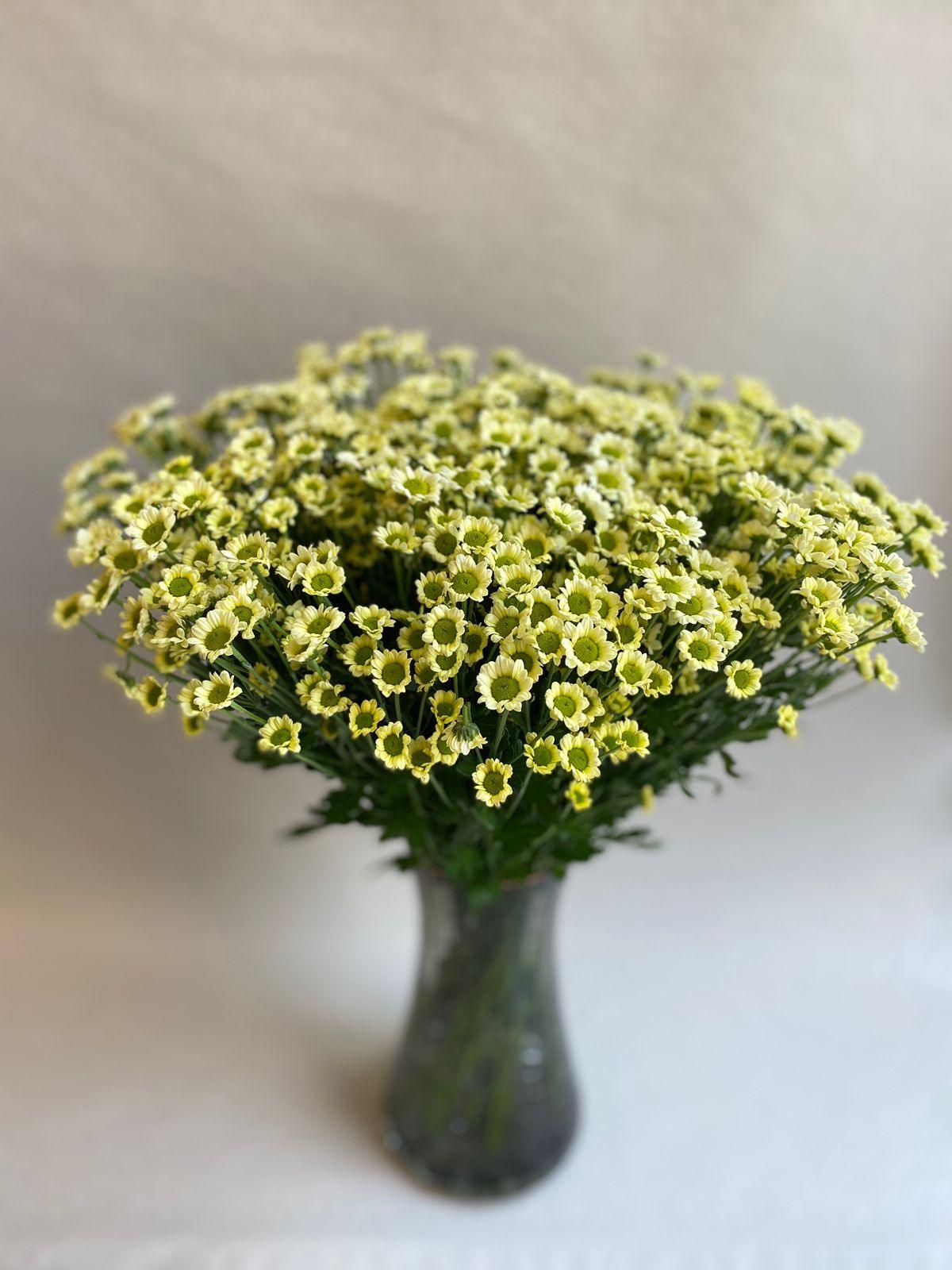 Chrysanthemum Vase - Besan Flowers