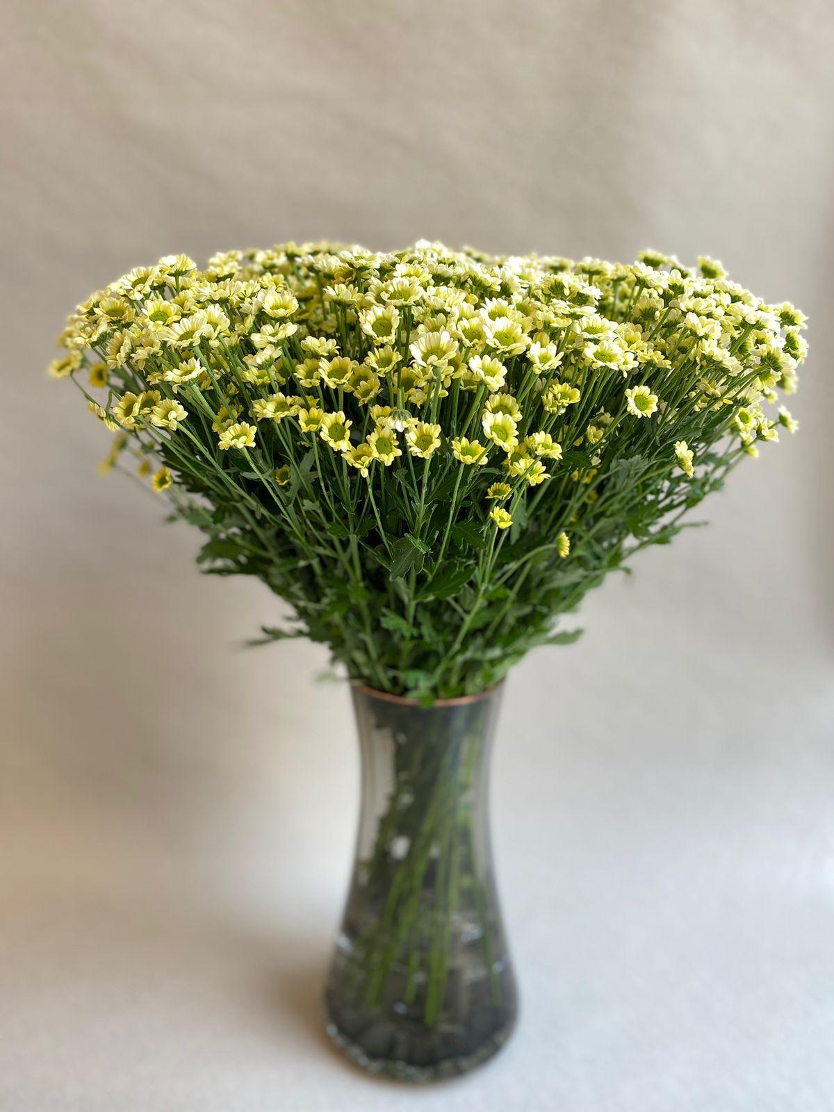 Chrysanthemum Vase - Besan Flowers