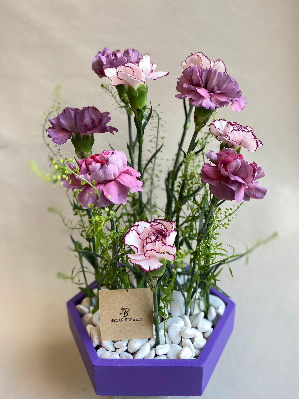 Carnation purple Box - Besan Flowers