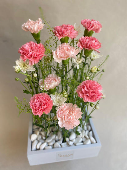 Box Of Carnations - Besan Flowers