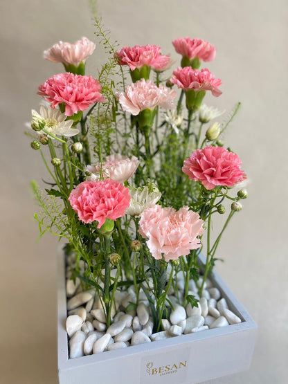 Box Of Carnations - Besan Flowers