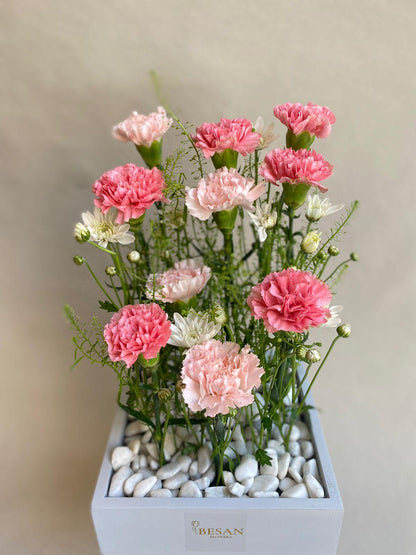 Box Of Carnations - Besan Flowers