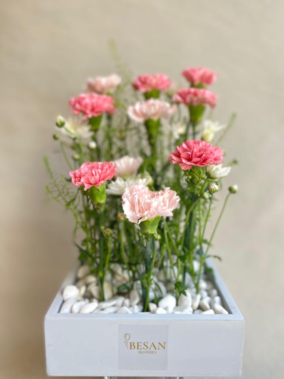 Box Of Carnations - Besan Flowers