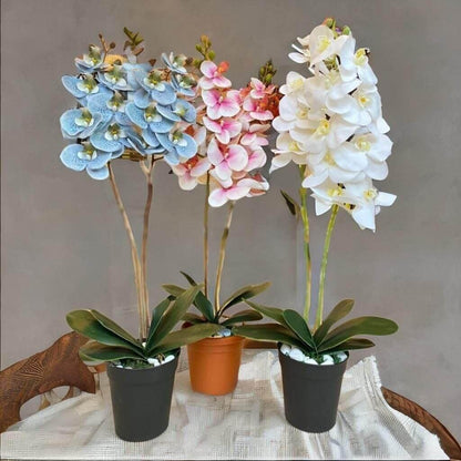 Besan Flowers Artificial Orchid Plant, High quality artificial flowers