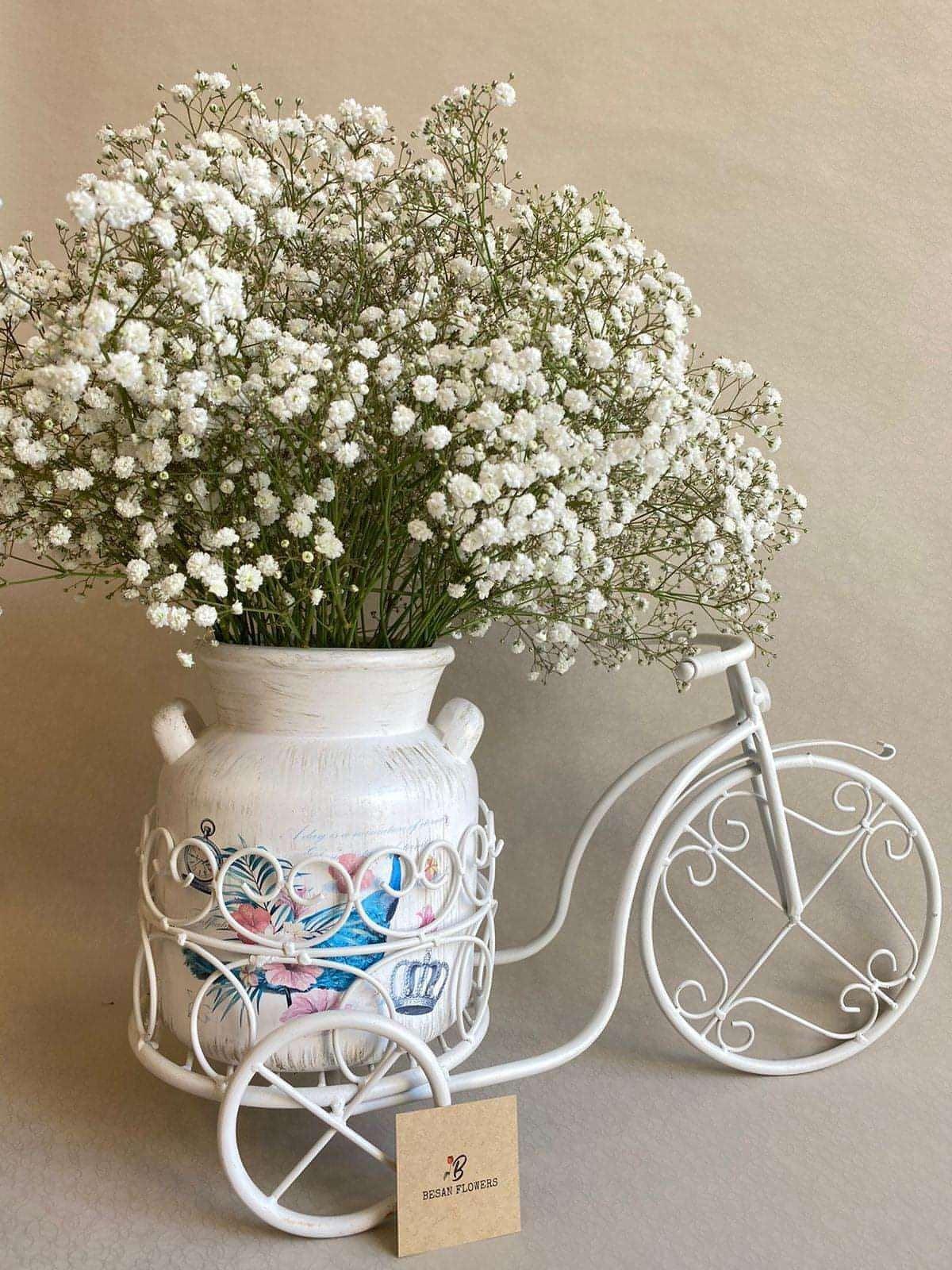 Besan Flowers Flowers,White Rider