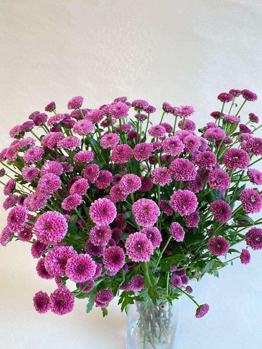 Purple me - Besan Flowers