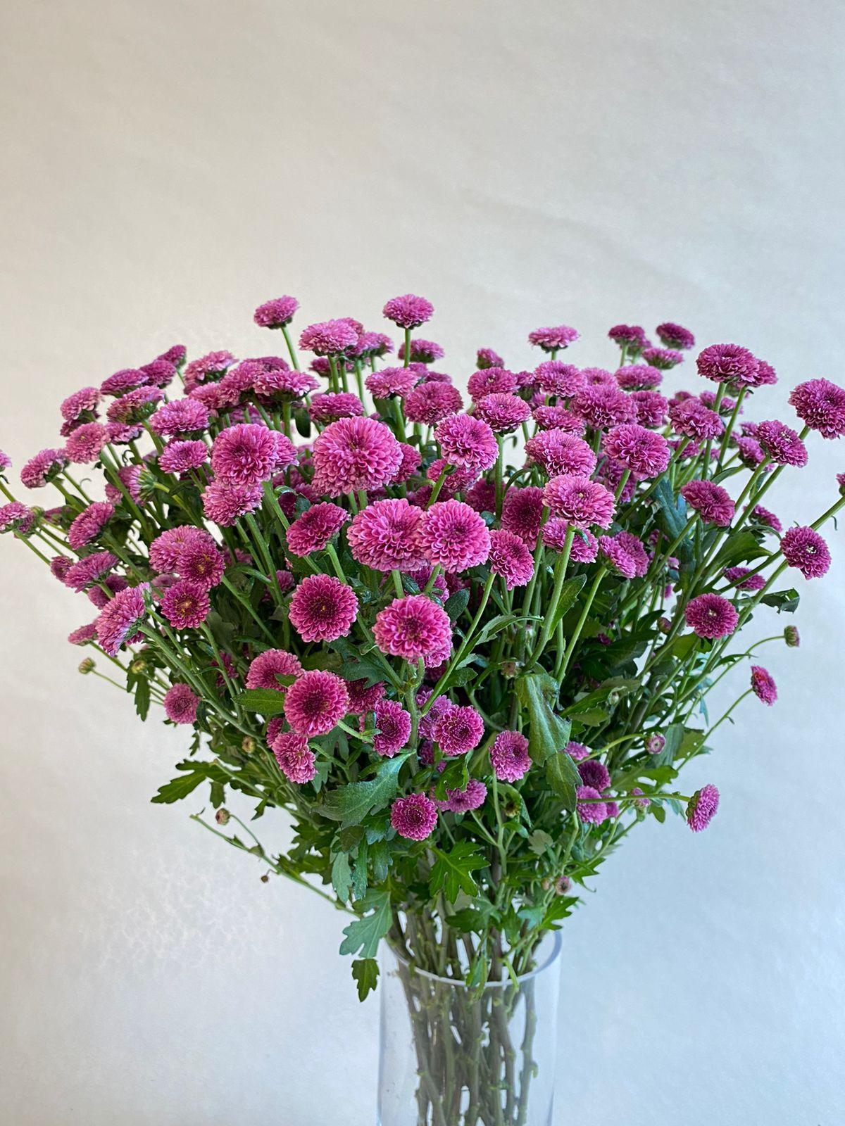 Purple me - Besan Flowers