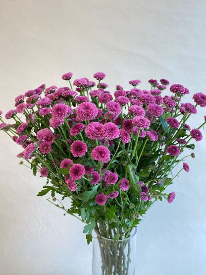 Purple me - Besan Flowers