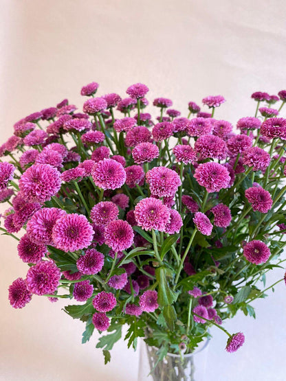 Purple me - Besan Flowers