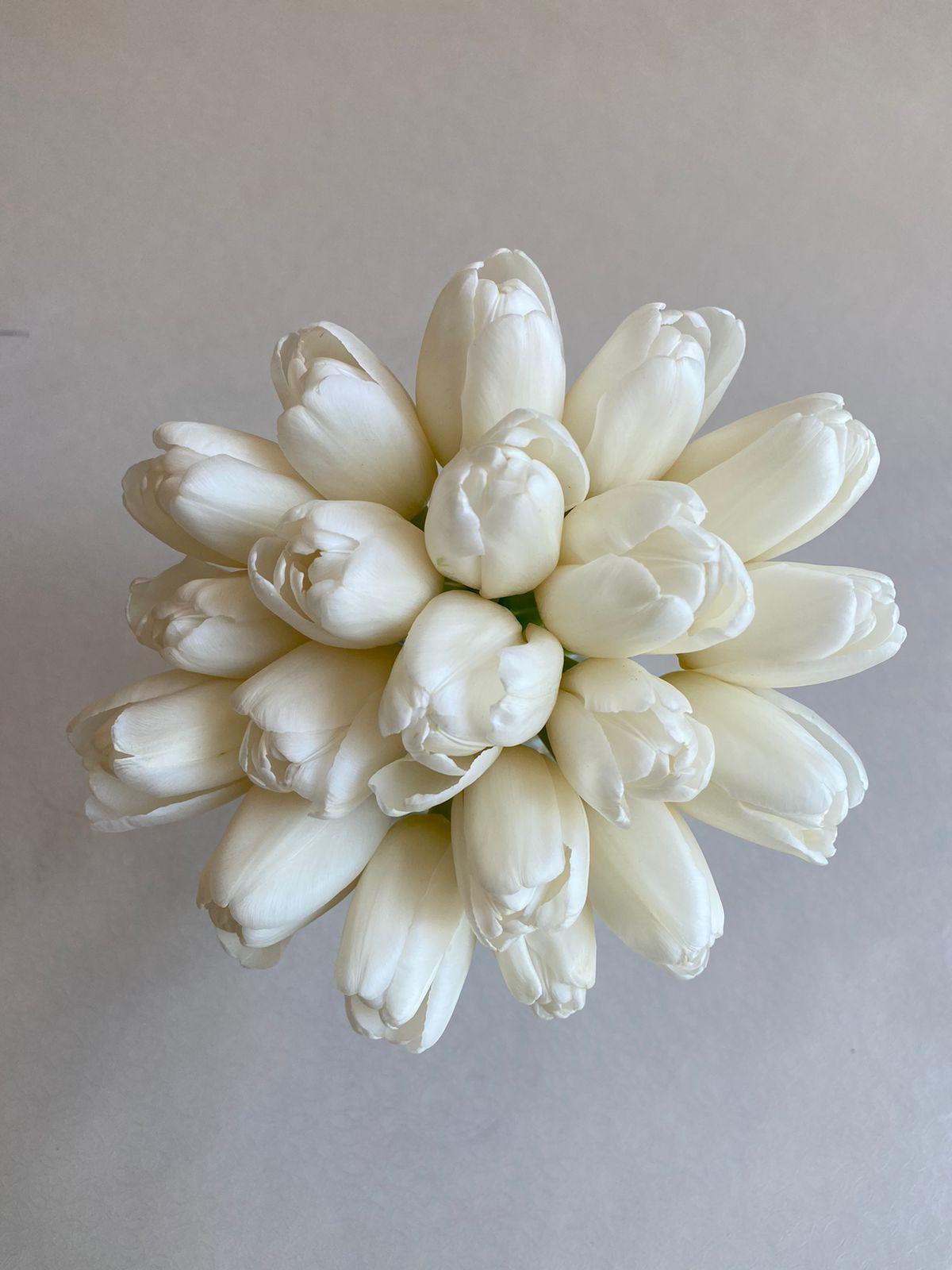 Tulip Bridal Bouquet - Besan Flowers